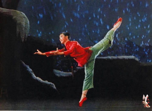 高仿印度尼西亚身份证
